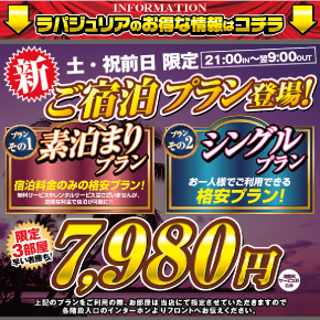 プランバナー7980円